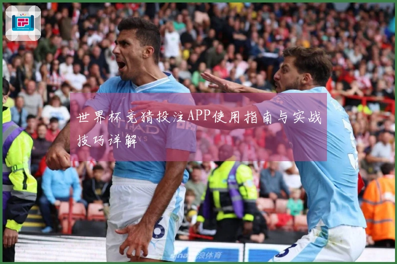 世界杯竞猜投注APP使用指南与实战技巧详解
