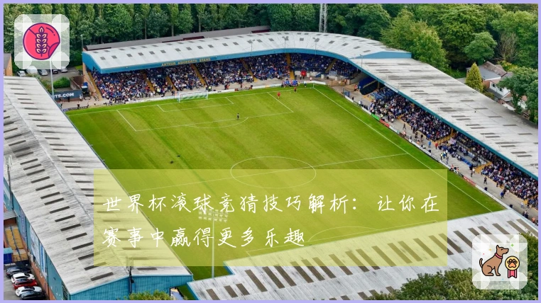世界杯滚球竞猜技巧解析：让你在赛事中赢得更多乐趣