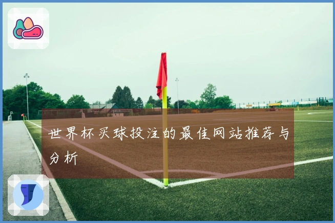世界杯买球投注的最佳网站推荐与分析