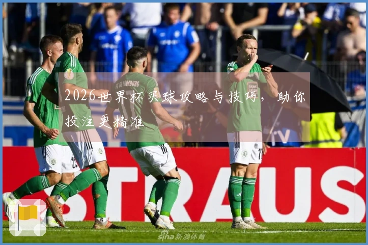 2026世界杯买球攻略与技巧，助你投注更精准