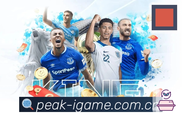 回放与集锦补看