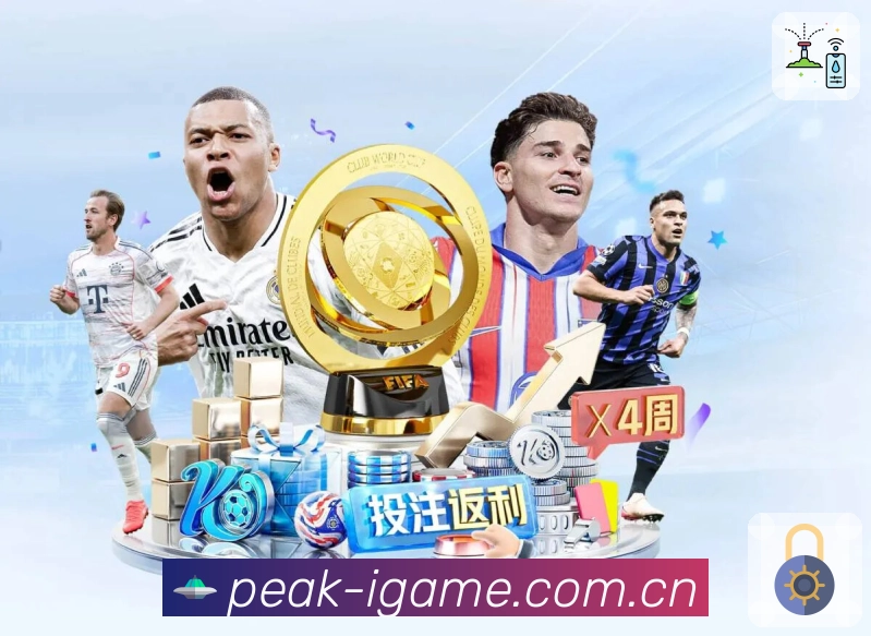 入口推荐 - 备用网址与直达导航